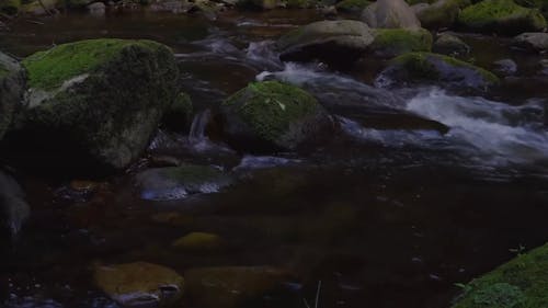 Rochers Moussus Sur La Rivière