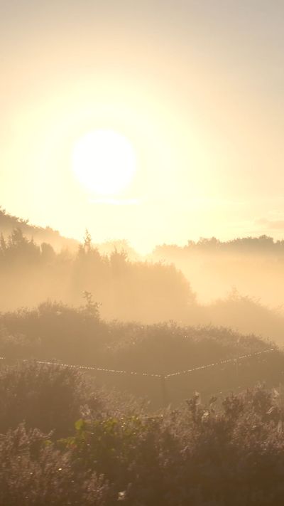 Matthias Groeneveld's fantasy landscape cinematic video