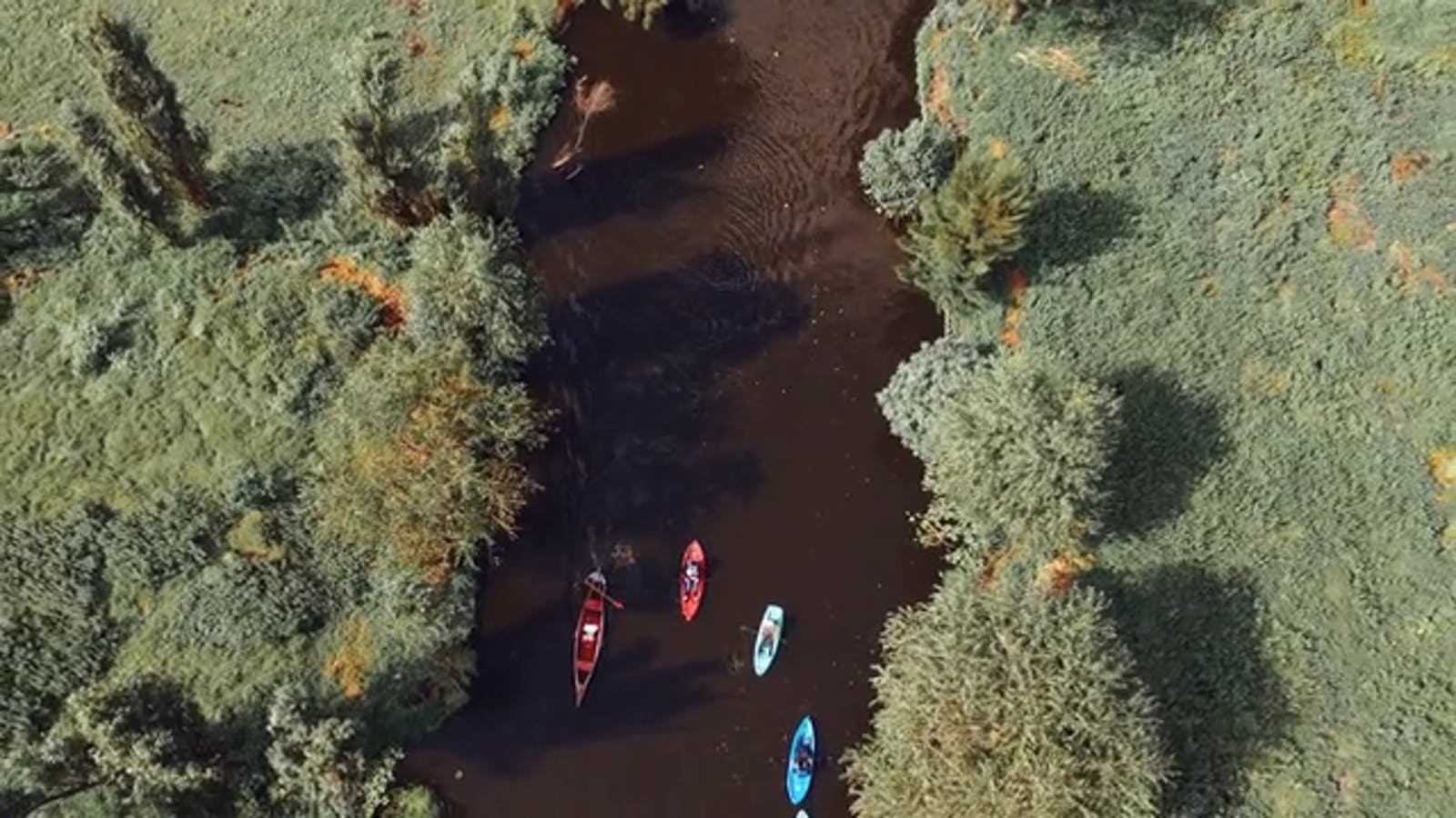 Chinampas Videos, Download The BEST Free 4k Stock Video Footage