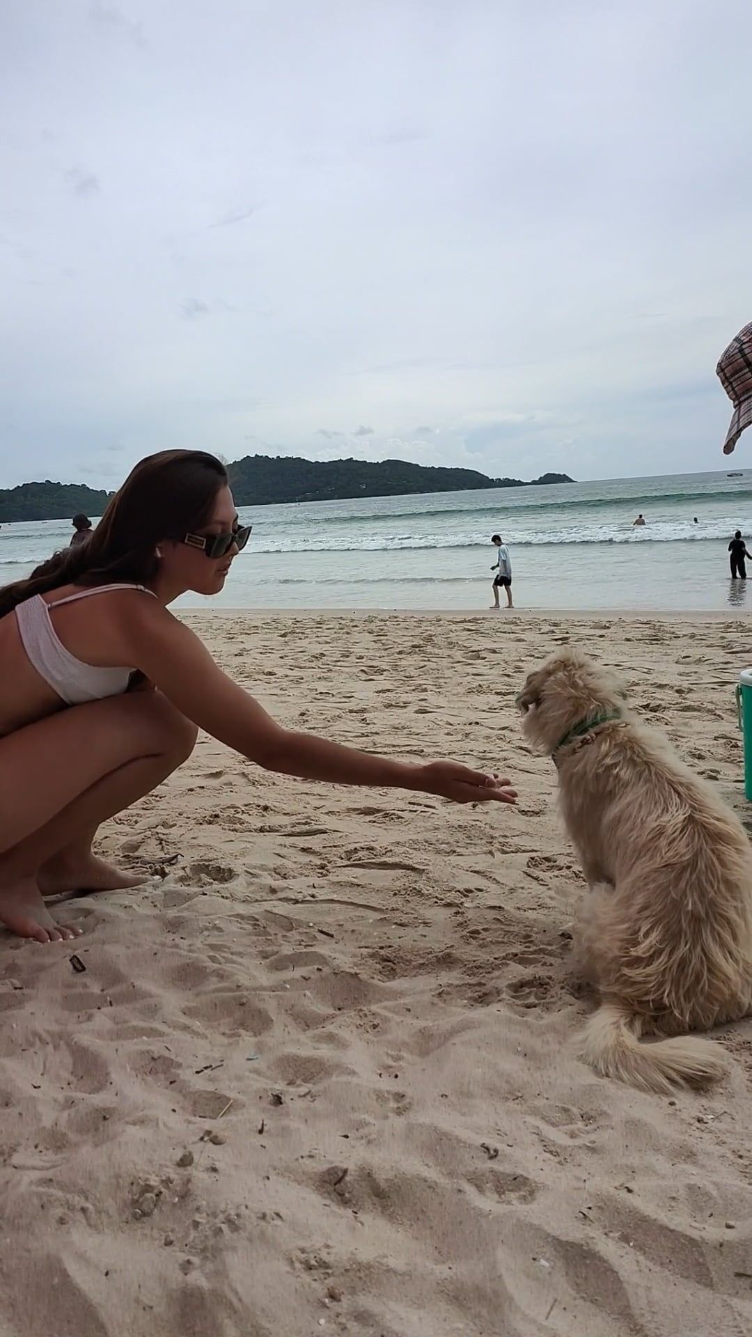 Beach girls Short Reel #18162786