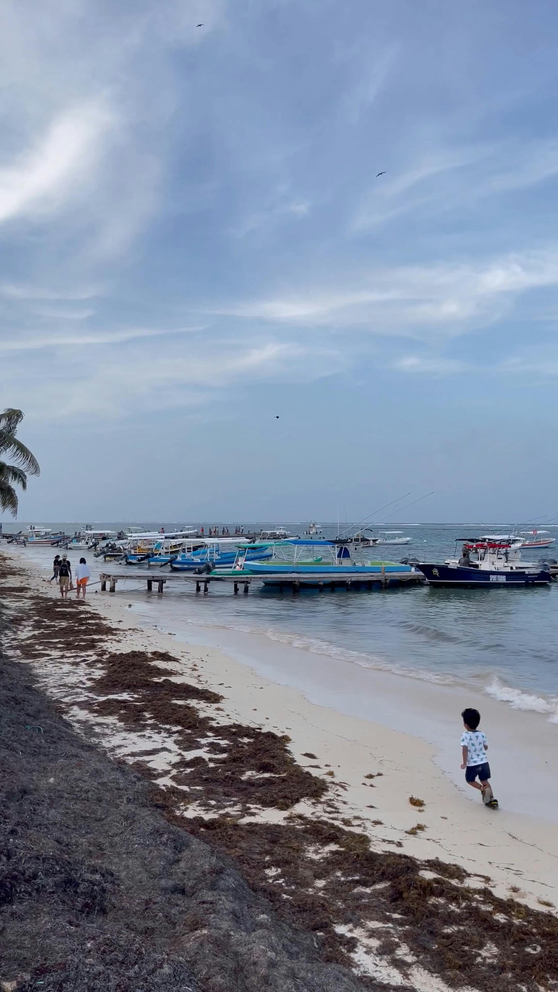 Orilla de Playa en el Caribe Free Stock Video Footage, Royalty-Free 4K & HD  Video Clip