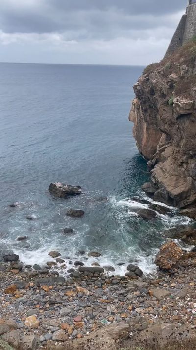 Oussama Amrouche's nature timelapse video