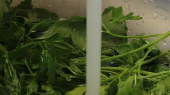 洗菜免费下载视频素材视频素材