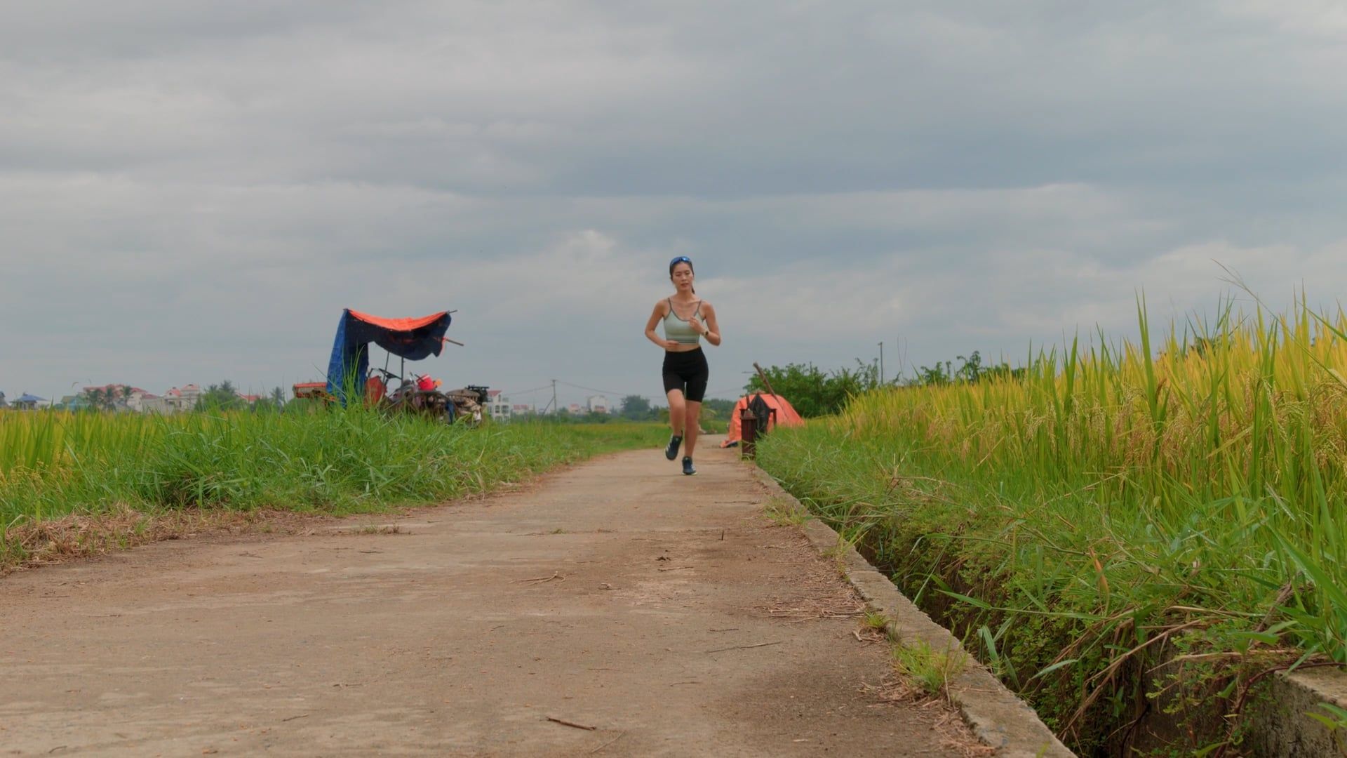 A woman running on a path in a rice field Free Stock Video Footage ...