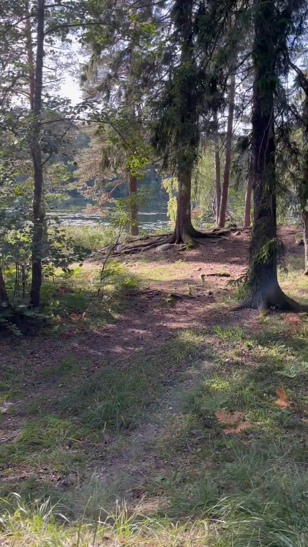 Video by Aleks Magnusson