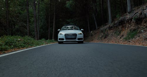 An Audi driven in forest road