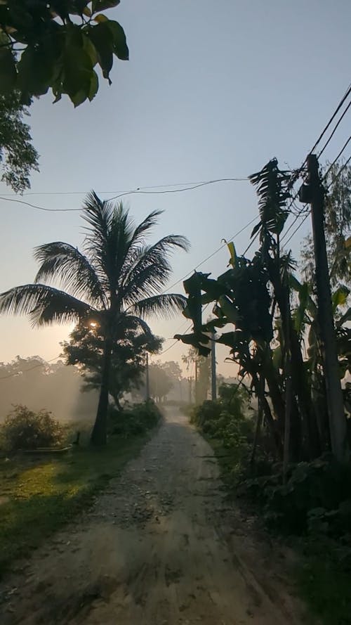 The morning view of a village in India