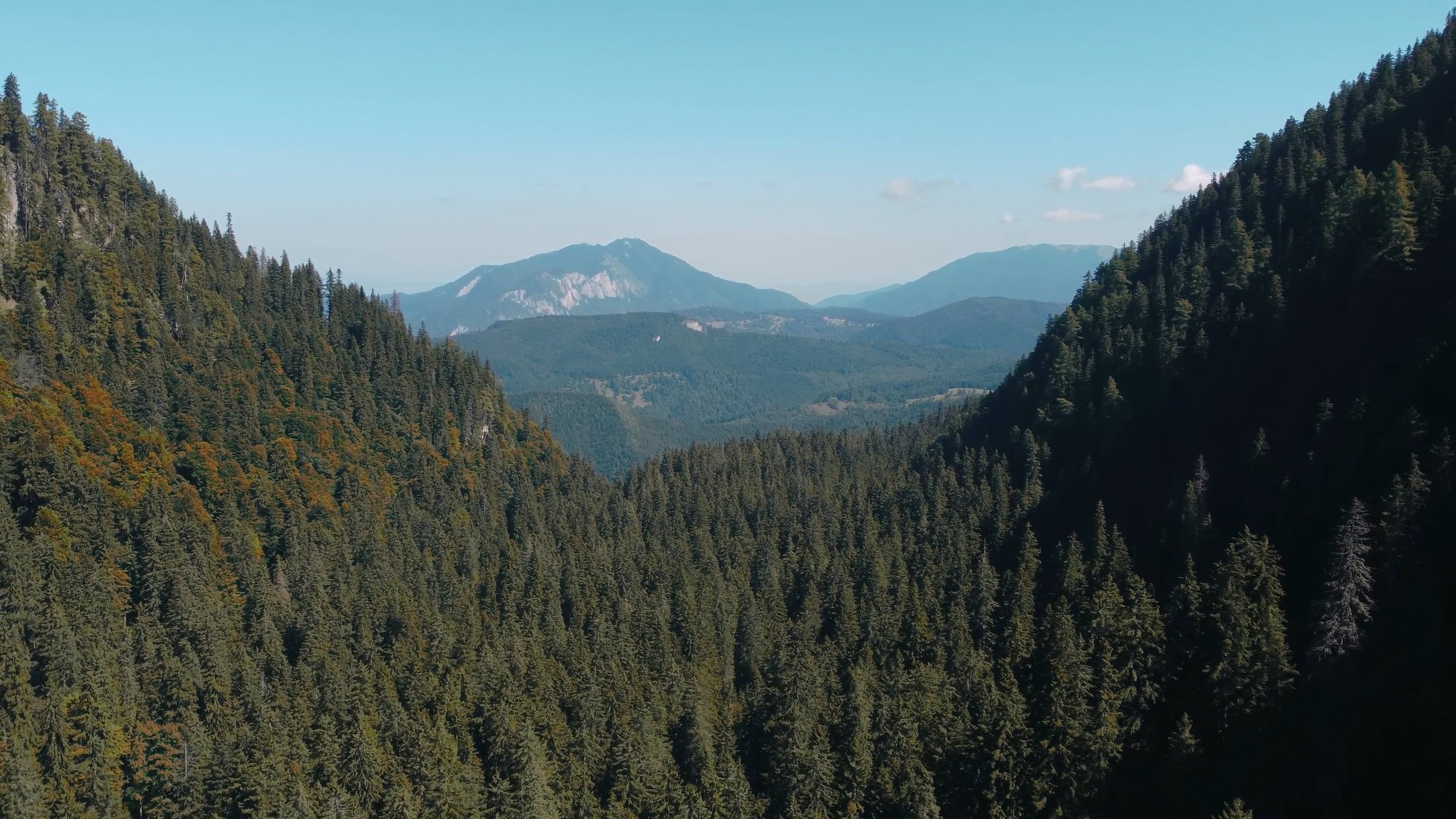 Drone Video of a Dense Forest in a Mountain Landscape Free Stock Video ...