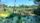 wetland