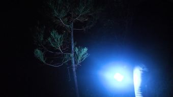 黑夜森林奔跑视频素材