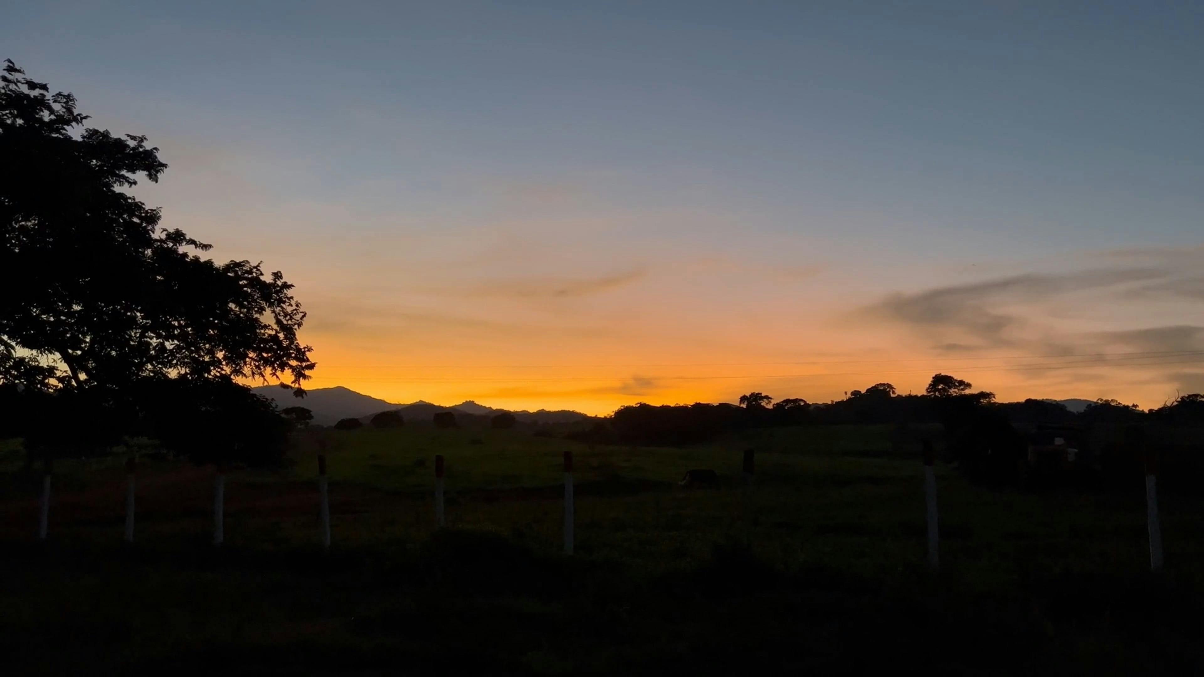 ATARDECER DESDE EL LLANO VENEZOLANO - PORTUGUESA Free Stock Video Footage,  Royalty-Free 4K & HD Video Clip