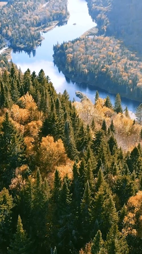 Vue drone du parc de la jaques cartier