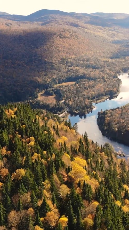 Vue drone du parc de la jaques cartier