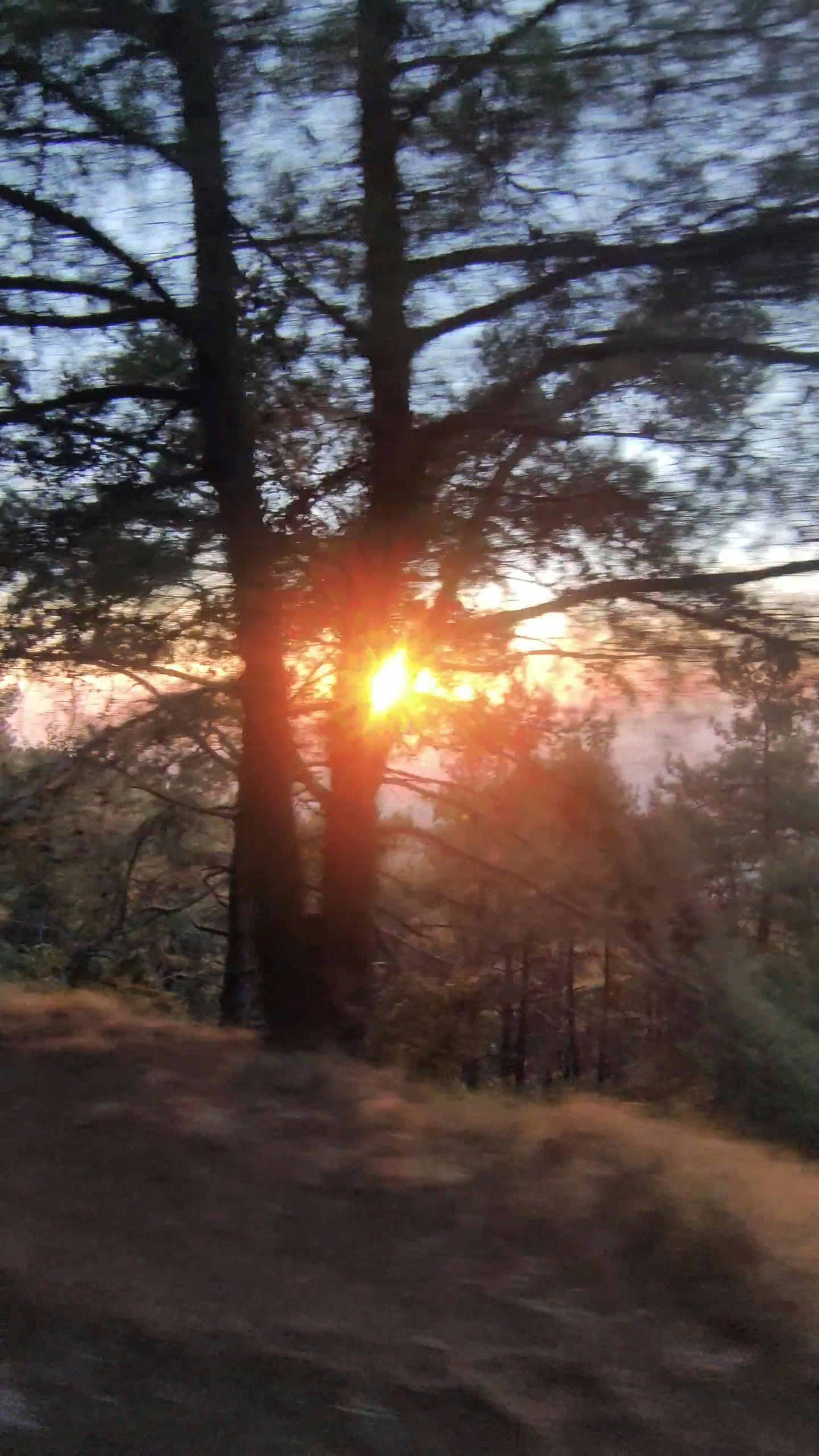 Video by Nikos B