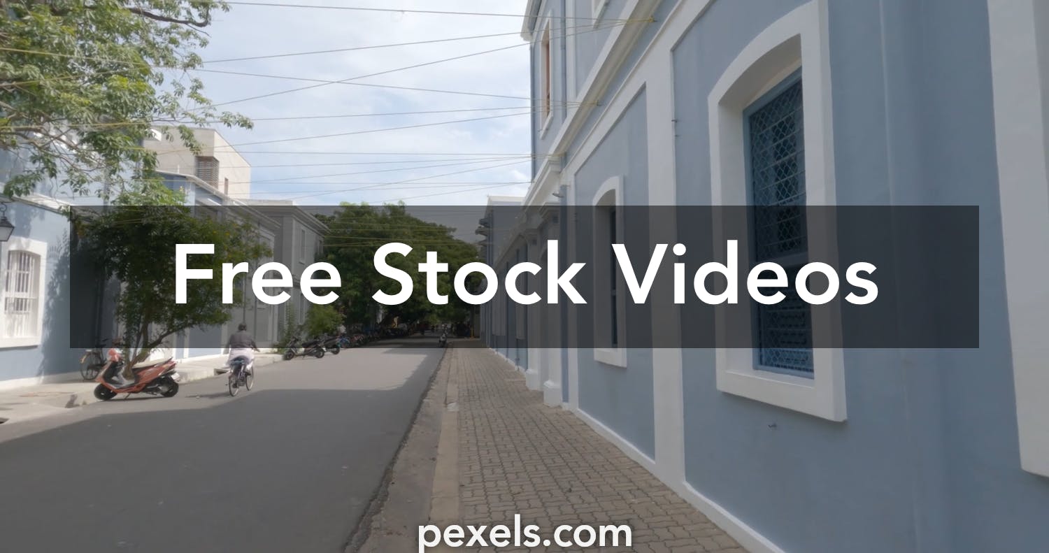 1 Tamilnadu State Emblem Stock Video Footage - 4K and HD Video