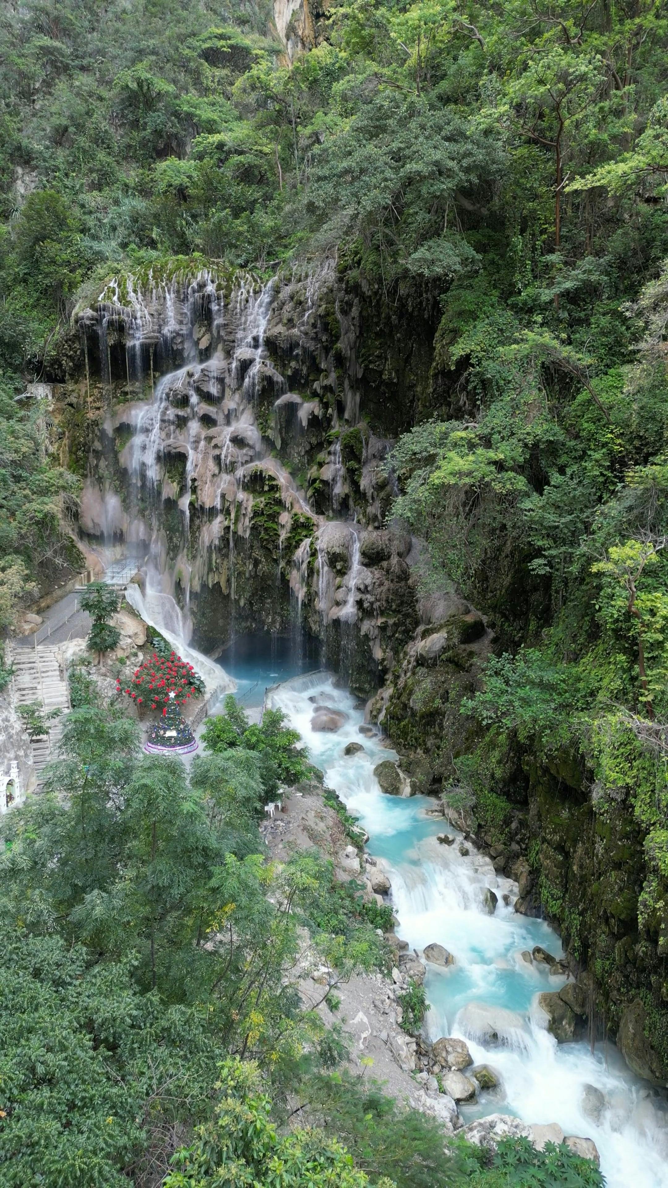 Video by Gabriela Tsvetanova