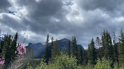 Lake Louise, BC