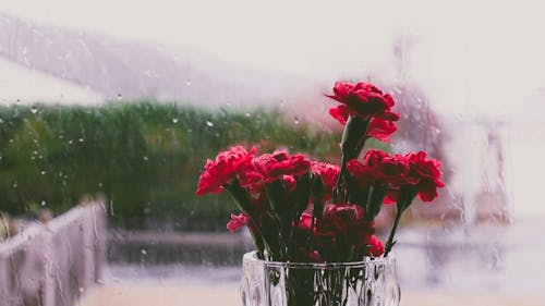 Red Flowers On A Vase With View Of A Rainy Day