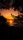 evening nature
