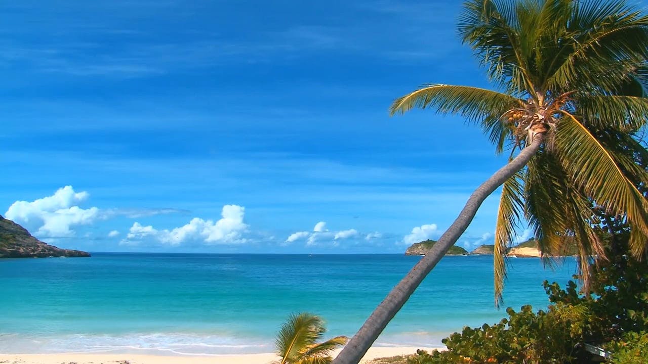 Hermosa Vista De Una Playa · Vídeo de stock gratuito