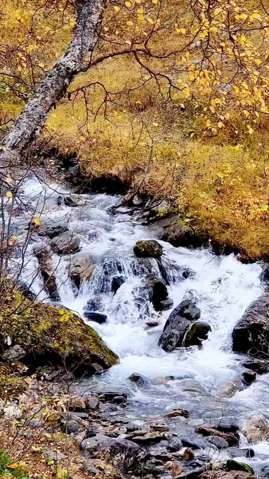 Video by Yvette Bitgue