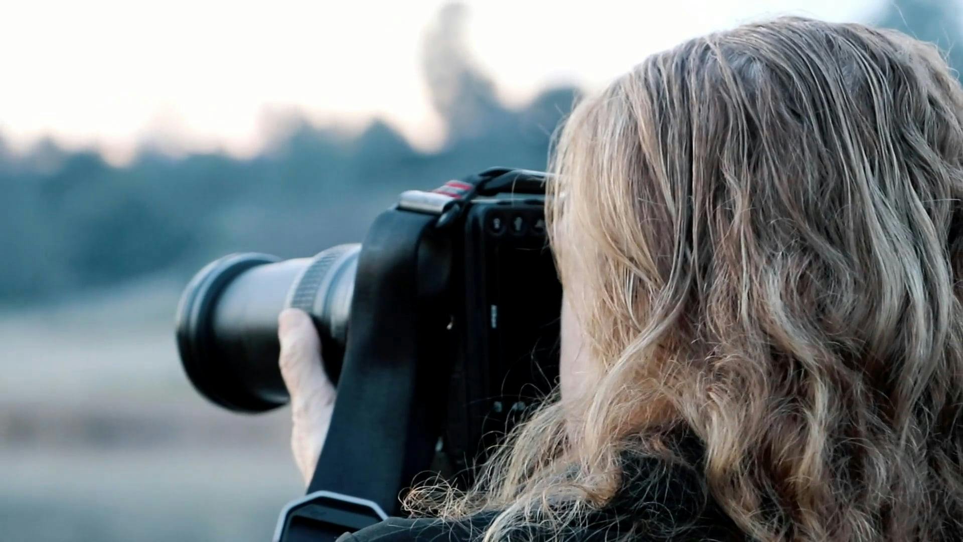 Photographer Taking Pictures With A DSLR · Free Stock Video