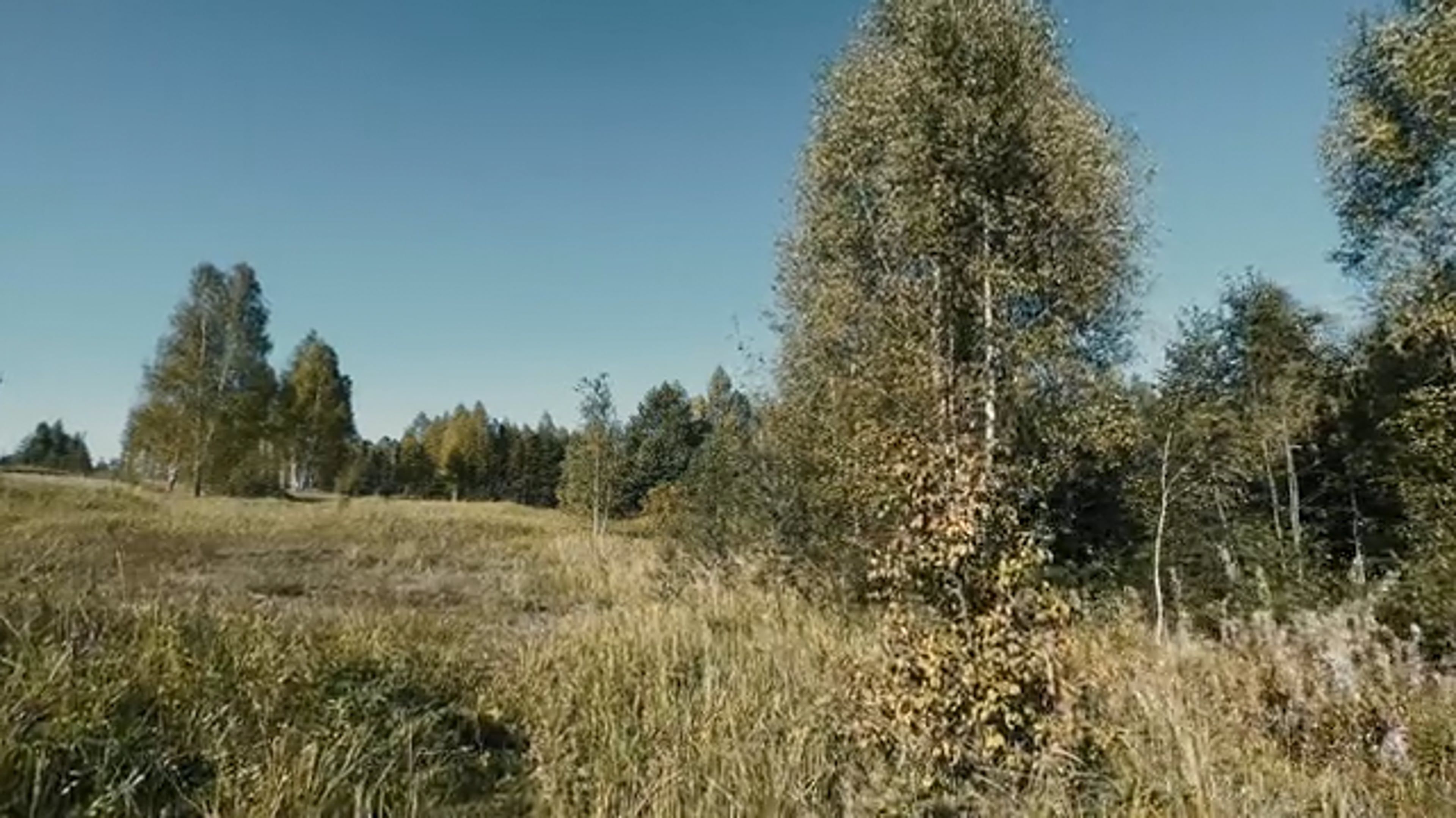 Video by Dmitry Marchenkov