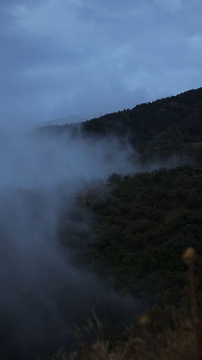 Orhan Pergel's nature timelapse video