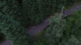 车队队形视频素材免费下载高清视频视频素材