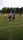 soccer action