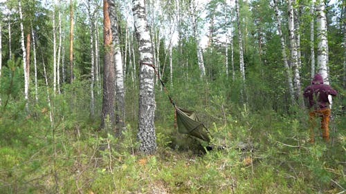 Setting up hammock