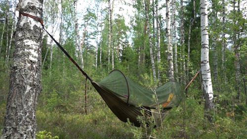 Relaxing in hammock