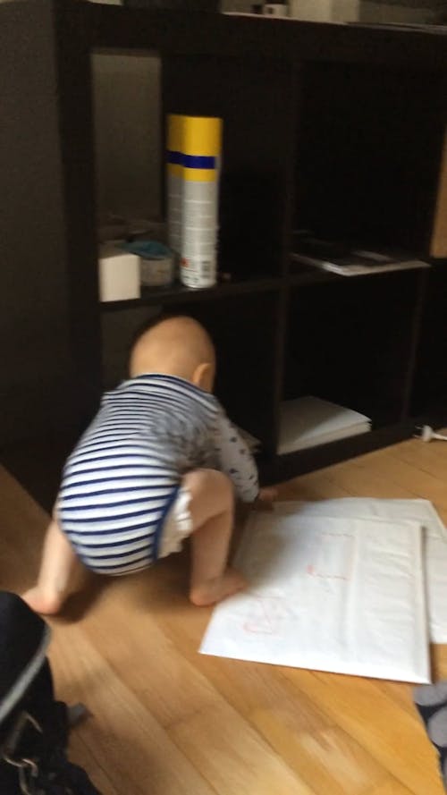 Little Boy Crawling and Playing Inside The House