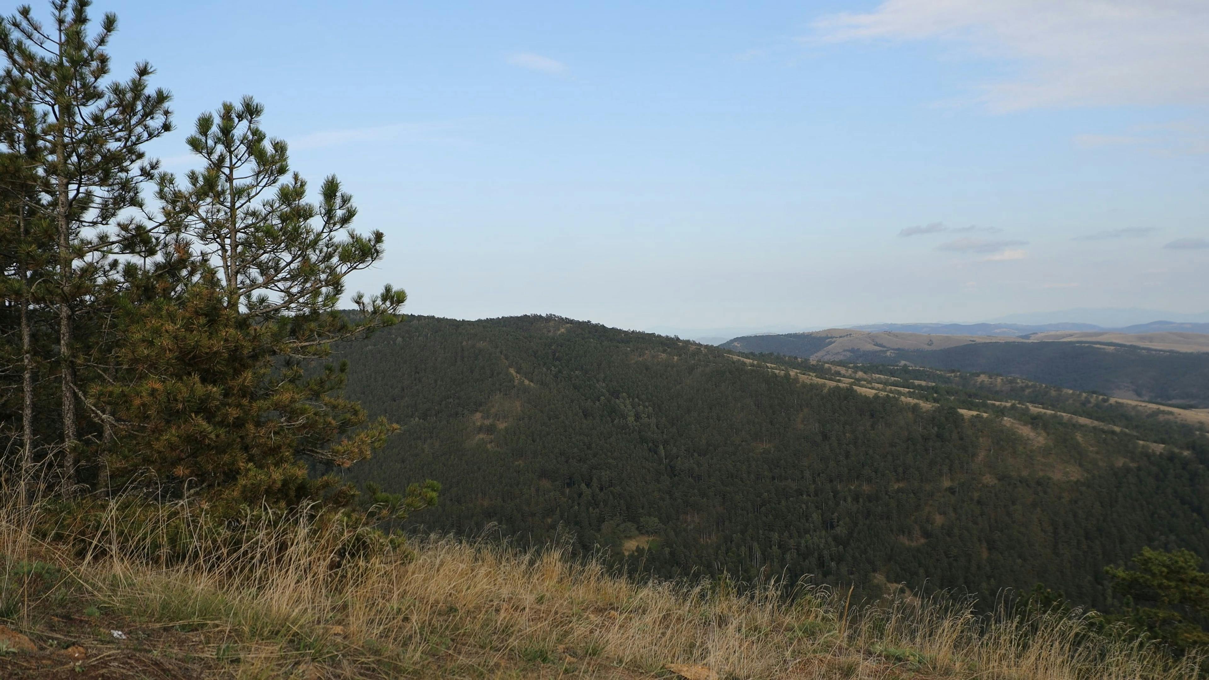 Divčibare, Serbia Free Stock Video Footage, RoyaltyFree 4K & HD Video Clip