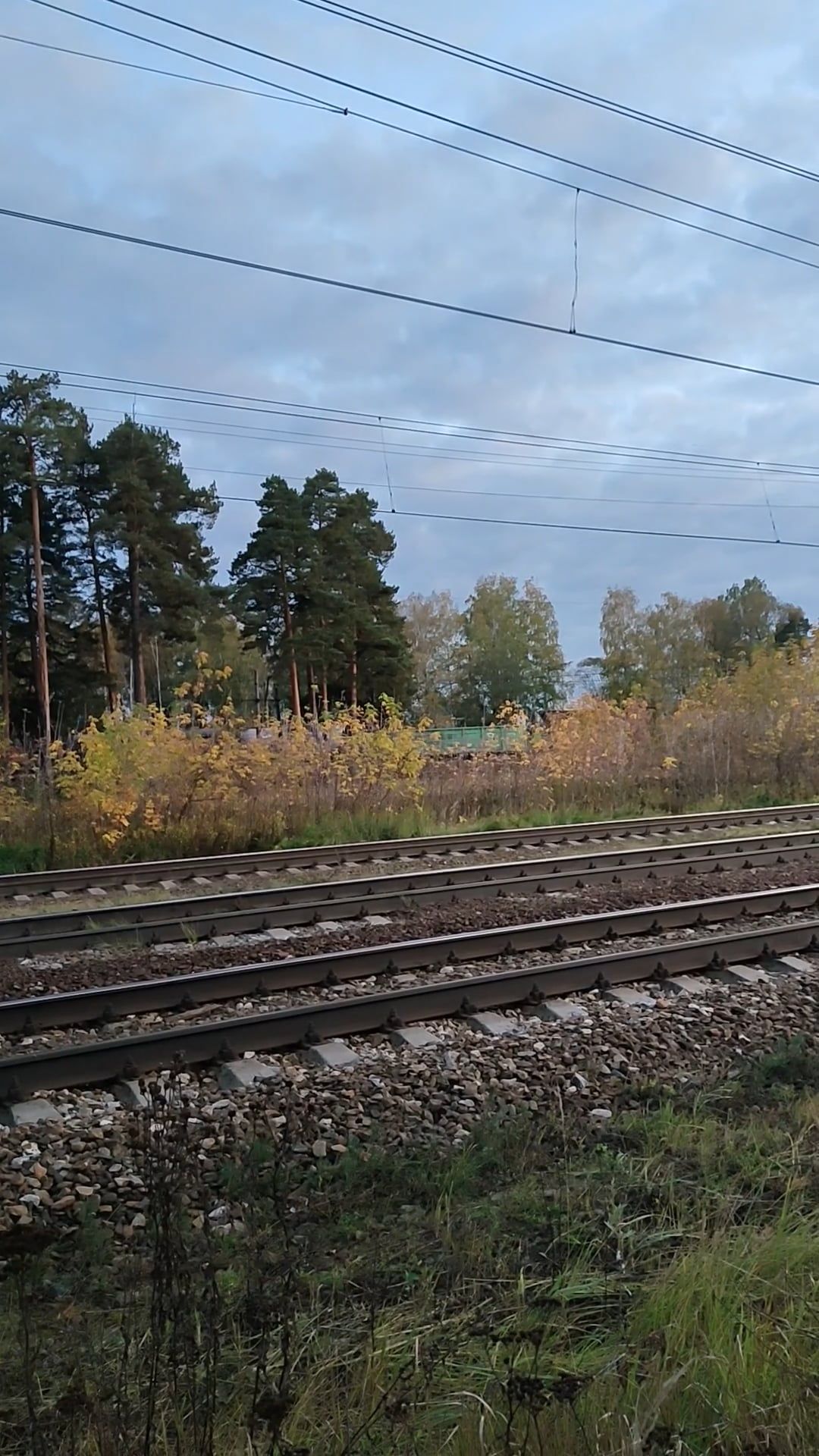 Video by Vladimir Veks