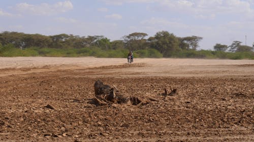 Dry River Bed