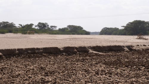 Dry River Bed