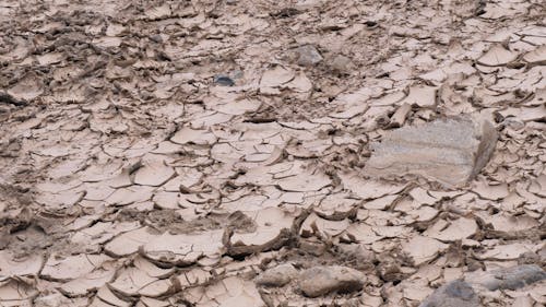 Dry River Bed