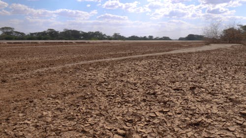 Dry River Bed