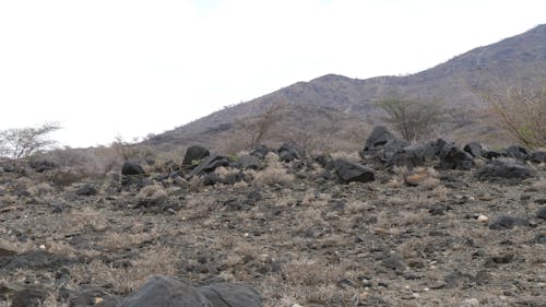 Dry African Landscape