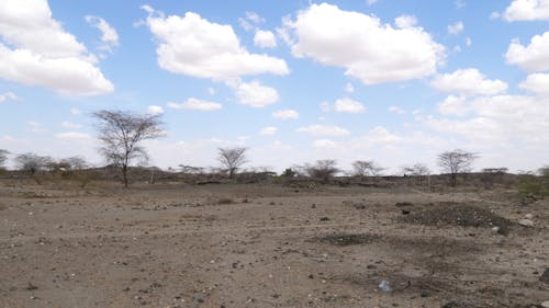 Dry African Landscape