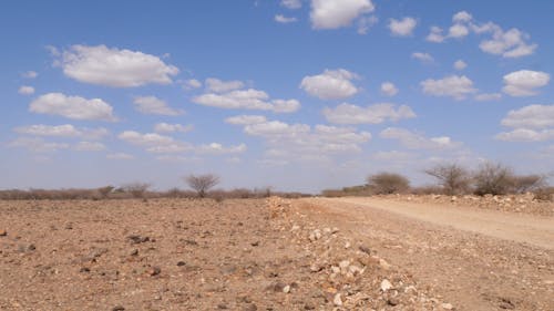 Dry African Landscape