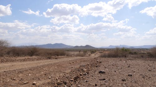 Dry African Landscape