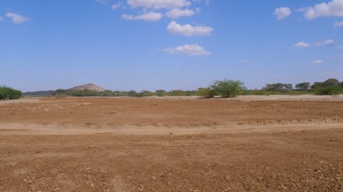 African Landscape