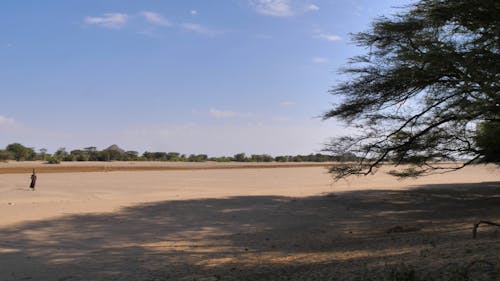 Dry River Bed