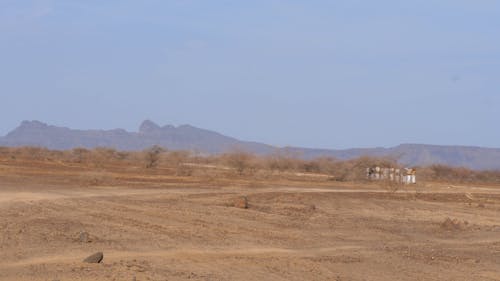 African Landscape