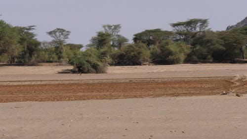 Dry River Bed