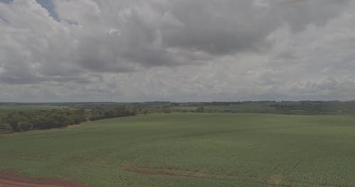 Vasta área De Terras Agrícolas