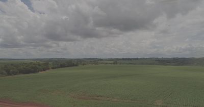 Campo agrícola extenso