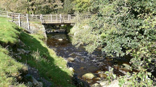 Afon Eiddew Valley Bridge